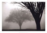 Memories of Winter Fine Art Print