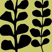 Black Fern on Green Fine Art Print