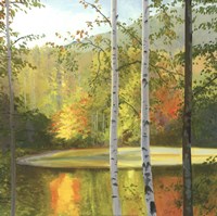 Cooper Lake, Autumn Framed Print