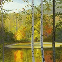 Cooper Lake, Autumn Framed Print