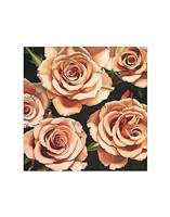 Roses Fine Art Print
