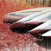 Lakeside Repose Framed Print