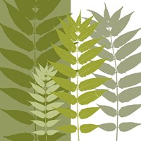 Garden Greens Fine Art Print