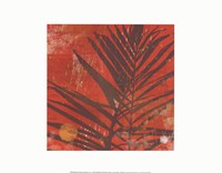 Exotic Palm Framed Print