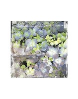 Vintage Blossom Fine Art Print