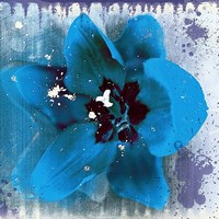 Tulip Fresco (blue) Framed Print