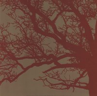 Cinnamon Tree III Fine Art Print