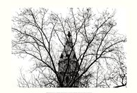 City Hall (branches) Fine Art Print