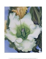 Cup of Silver Ginger, 1939 by Georgia O'Keeffe, 1939 - 11" x 14"