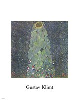 The Sunflower, c. 1906-1907 Fine Art Print