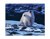 At the Edge of the Bay Fine Art Print