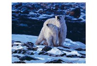 At the Edge of the Bay Fine Art Print