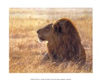 Danger on the Wind Fine Art Print