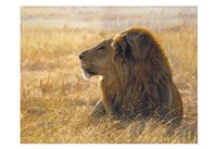 Danger on the Wind Fine Art Print