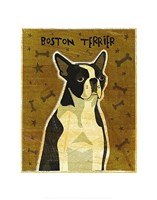 Boston Terrier Fine Art Print