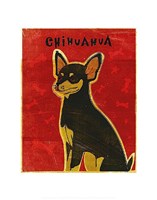 11" x 14" Chihuahua Pictures