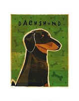 Dachshund (black and tan) Fine Art Print