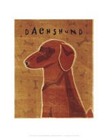 Dachshund (red) Fine Art Print