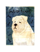 English Bulldog Fine Art Print