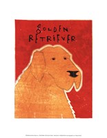Golden Retriever Fine Art Print