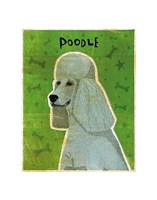 Poodle (grey) Fine Art Print