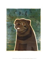 Pug (black) Fine Art Print