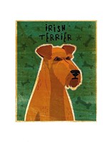 Irish Terrier Fine Art Print