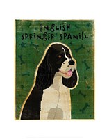 English Springer Spaniel (black and white) Fine Art Print