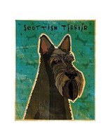 Scottish Terrier Framed Print