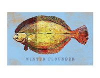 Winter Flounder Fine Art Print