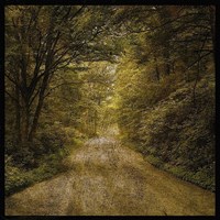 Flannery Fork Road No. 1 Fine Art Print