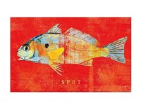 Spot Framed Print