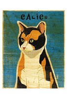 Calico Framed Print