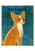 Chihuahua (red) Fine Art Print