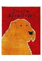 Golden Retriever Fine Art Print
