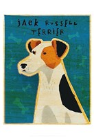 Jack Russell Terrier Fine Art Print
