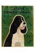 English Springer Spaniel (black and white) Fine Art Print