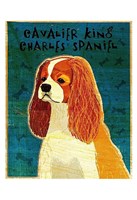 Cavalier King Charles (Blenheim) Fine Art Print