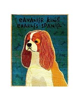 Cavalier King Charles (Blenheim) Fine Art Print