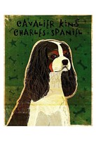Cavalier King Charles (tri-color) Fine Art Print