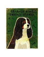 Cavalier King Charles (tri-color) Fine Art Print
