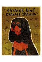 Cavalier King Charles (black and tan) Fine Art Print