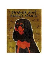 Cavalier King Charles (black and tan) Fine Art Print