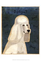 Poodle (white) Framed Print