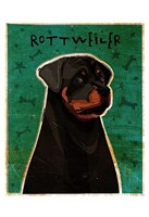 Rottweiler Framed Print
