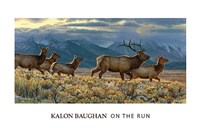 On the Run Fine Art Print