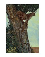 On the Lookout Fine Art Print