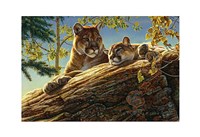 Keeping Guard Fine Art Print