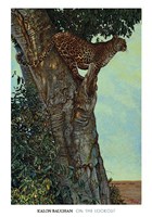 On the Lookout Fine Art Print