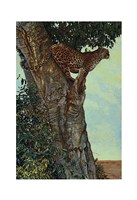 On the Lookout Fine Art Print